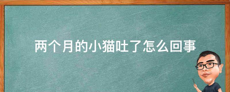 两个月的小猫吐了怎么回事（两个半月的小猫吐是怎么回事）