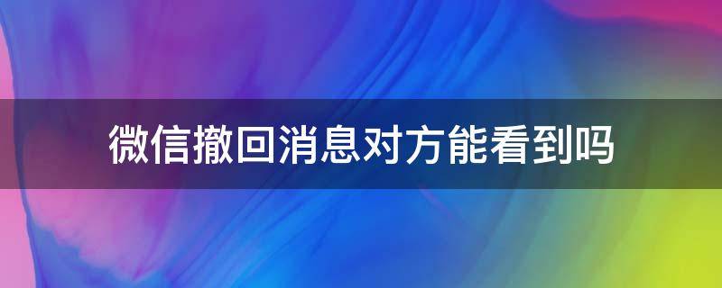 微信撤回消息对方能看到吗 微信撤回的消息对方能看到吗