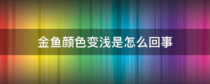 金鱼颜色变浅是怎么回事（金鱼色变淡是什么原因）