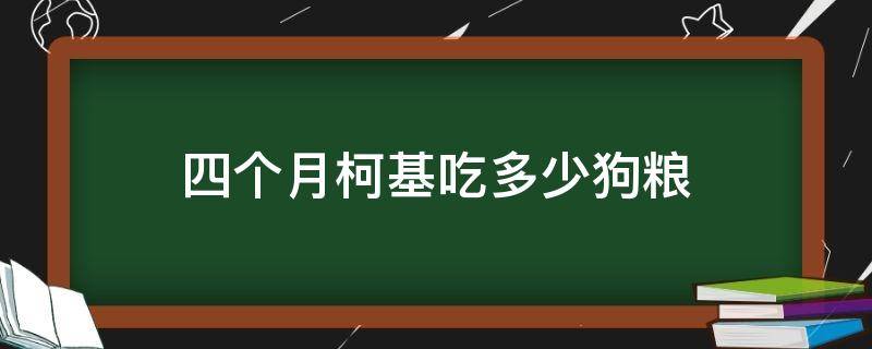 四个月柯基吃多少狗粮 4个月柯基吃多少狗粮