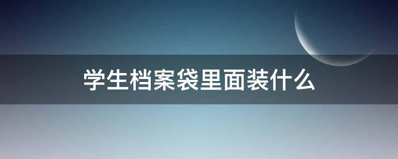 学生档案袋里面装什么（学生个人档案袋里都装有什么）