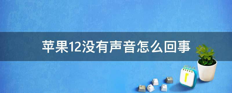 苹果12没有声音怎么回事（苹果12没有声音怎么回事,只有外音关了外音就没声音了）