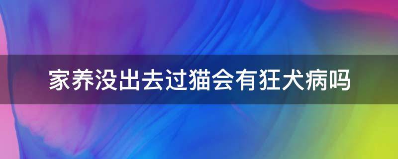 家养没出去过猫会有狂犬病吗 家养猫从来没出去过,会有狂犬病吗