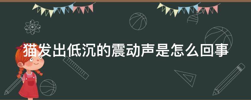 猫发出低沉的震动声是怎么回事 猫喉咙一直发出低沉的咕咕声