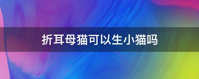 折耳母猫可以生小猫吗（折耳公猫和立耳母猫能生健康的小猫吗?）