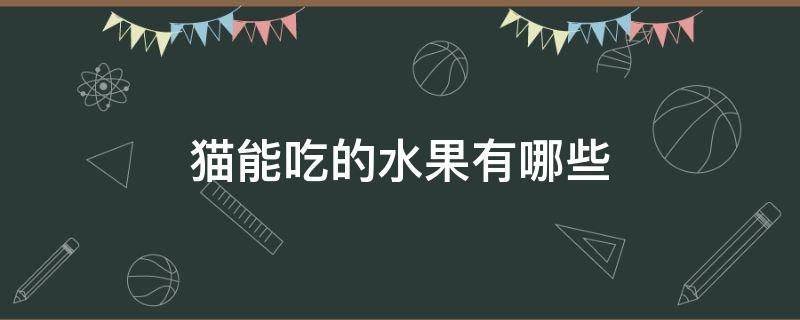 猫能吃的水果有哪些 猫可以吃的水果