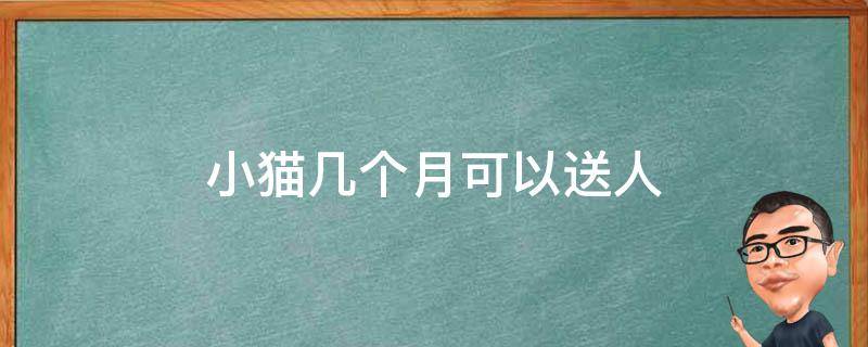 小猫几个月可以送人 小猫几个月可以送人母猫才不会找它们