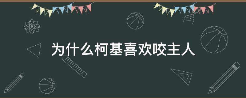 为什么柯基喜欢咬主人 为什么柯基喜欢咬主人的脚