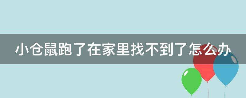 小仓鼠跑了在家里找不到了怎么办（仓鼠丢了会死在家里吗）