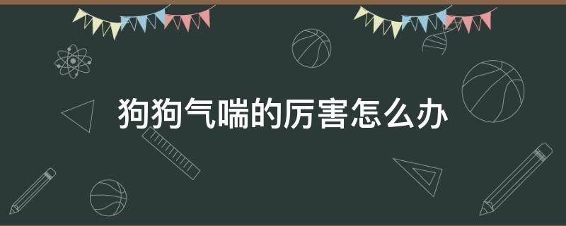 狗狗气喘的厉害怎么办（狗狗有气喘怎么办）