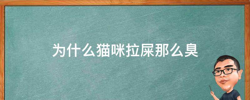 为什么猫咪拉屎那么臭 为什么猫猫拉屎那么臭呢