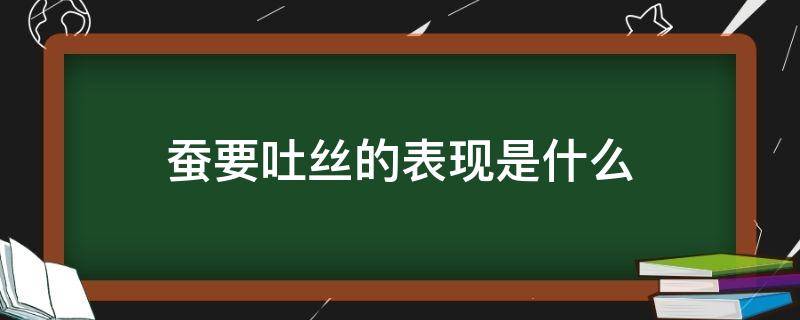 蚕要吐丝的表现是什么（蚕在吐丝前会干什么）