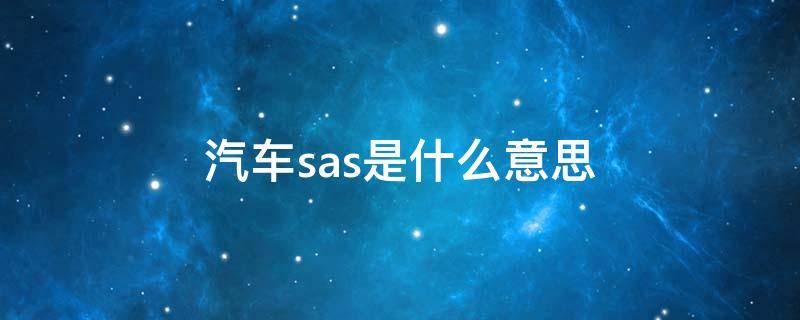 汽车sas是什么意思（汽车SAS）