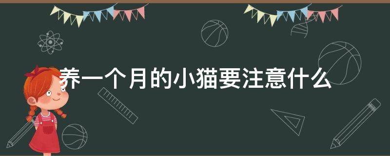 养一个月的小猫要注意什么 一个月小猫需要什么