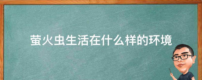 萤火虫生活在什么样的环境 萤火虫生长的环境