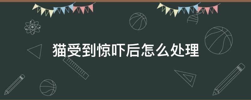 猫受到惊吓后怎么处理 猫咪受到惊吓该怎么办