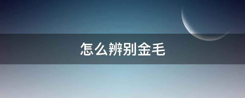 怎么辨别金毛 怎么辨别金毛纯不纯