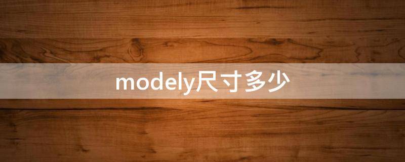 modely尺寸多少 modely多长