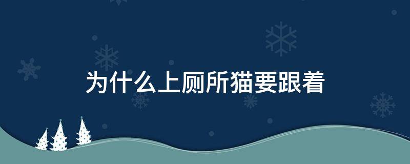 为什么上厕所猫要跟着（为什么上厕所猫也要跟着）