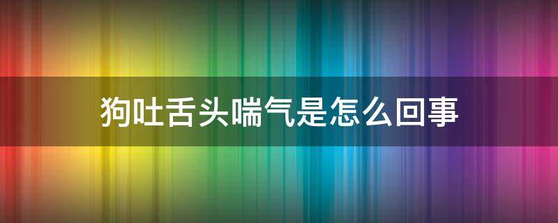 狗吐舌头喘气是怎么回事（狗吐舌头大喘气是什么原因）