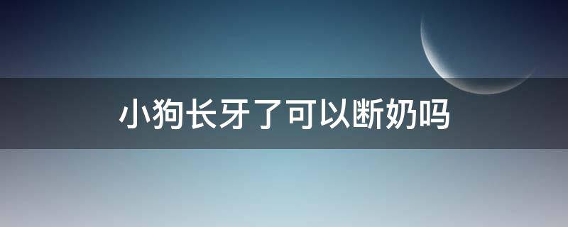 小狗长牙了可以断奶吗 小狗长牙后可以断奶吗