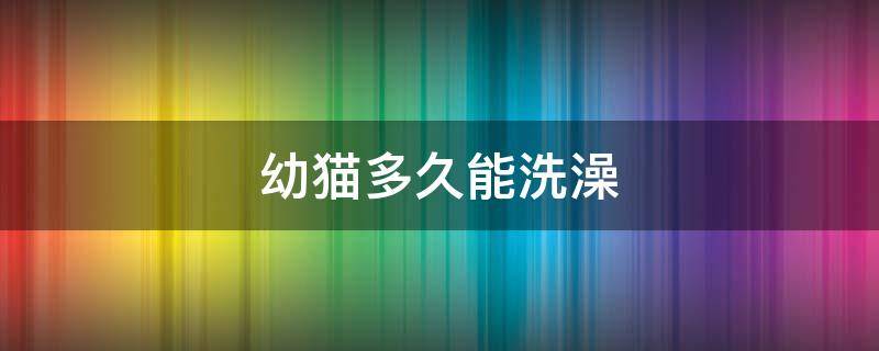 幼猫多久能洗澡 幼猫可以多久洗一次澡