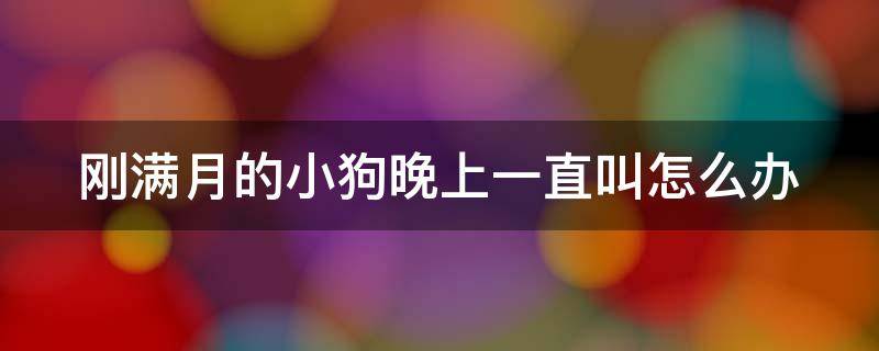 刚满月的小狗晚上一直叫怎么办 幼犬到家后的七大禁忌