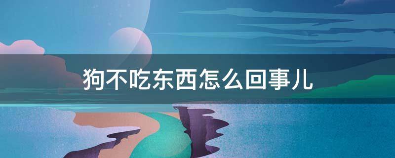 狗不吃东西怎么回事儿 狗不吃东西怎么回事儿会吐?