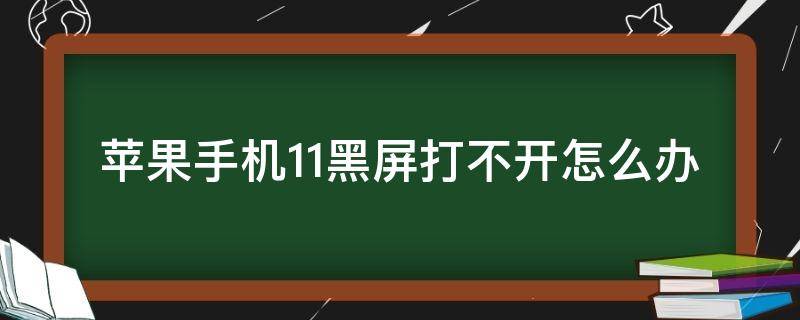 苹果手机11黑屏打不开怎么办 iphone 11突然黑屏打不开