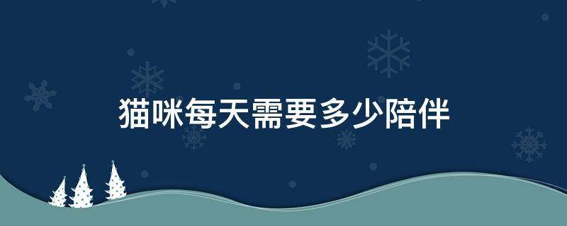 猫咪每天需要多少陪伴 每天陪伴猫咪多久