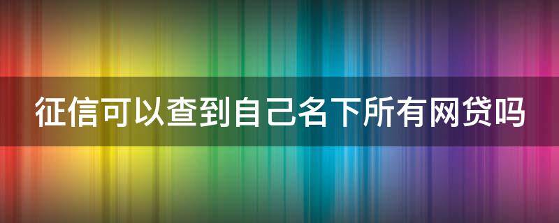 征信可以查到自己名下所有网贷吗（个人征信能否查到网贷）