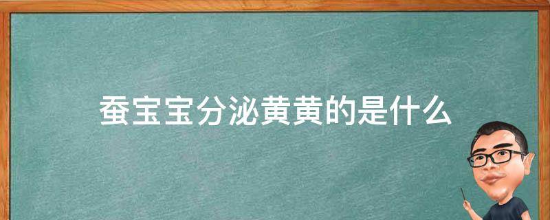 蚕宝宝分泌黄黄的是什么 蚕宝宝是黄色的