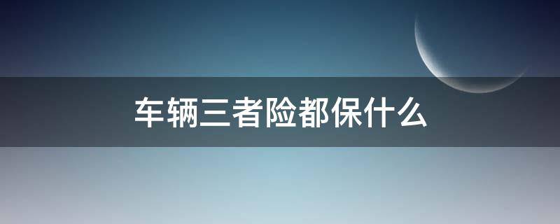 车辆三者险都保什么（汽车三者险都保什么）