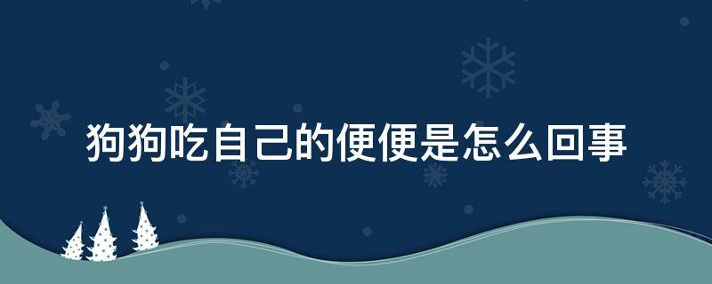 狗狗吃自己的便便是怎么回事（3个月狗狗吃自己的便便是怎么回事）