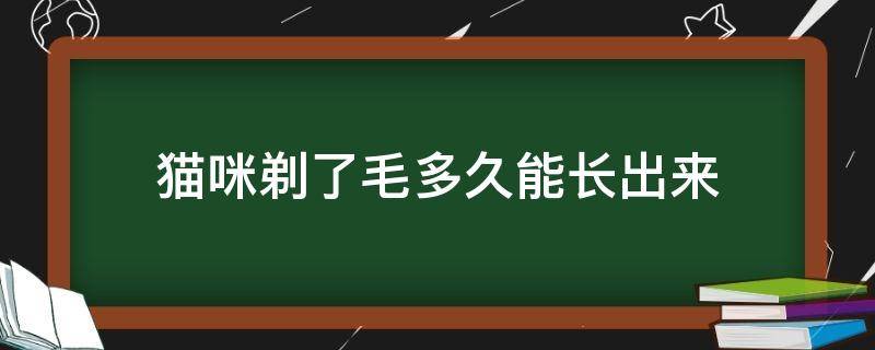 猫咪剃了毛多久能长出来（猫咪的毛剃掉多久能长出来）