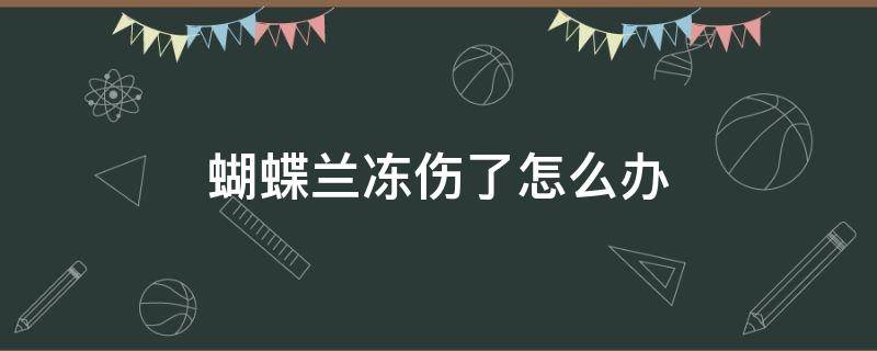 蝴蝶兰冻伤了怎么办（冻伤的蝴蝶兰能恢复吗）