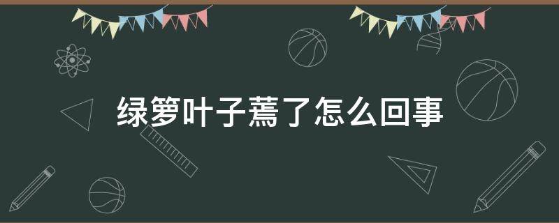 绿箩叶子蔫了怎么回事 绿萝蔫了怎么办