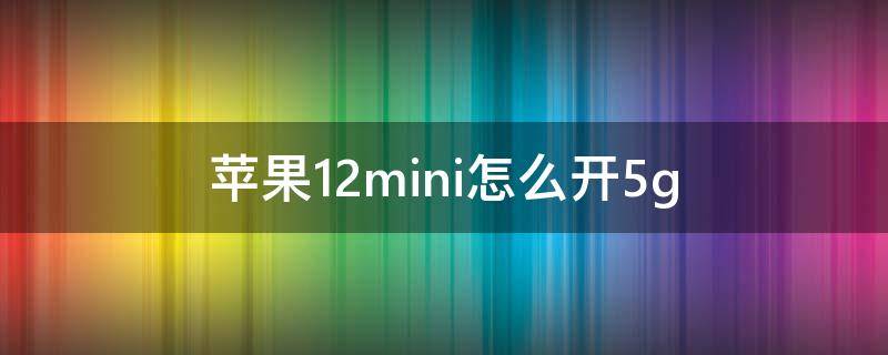 苹果12mini怎么开5g 苹果12mini怎么开5g开关