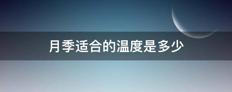 月季适合的温度是多少（月季温度多少最好）