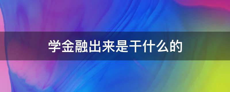 学金融出来是干什么的（金融学出来能干啥）