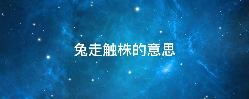 兔走触株的意思（兔走触株的意思是什么意思）