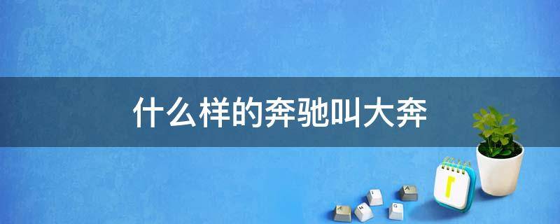什么样的奔驰叫大奔（奔驰大奔指什么车型）