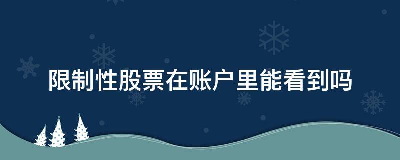 限制性股票在账户里能看到吗（限制性股票如何查看）