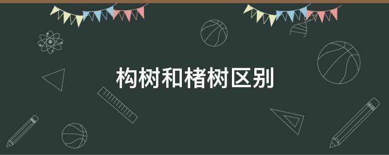 构树和楮树区别（构树和楮树的区别）