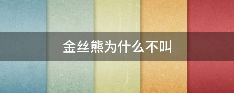 金丝熊为什么不叫（金丝熊为什么不会叫）