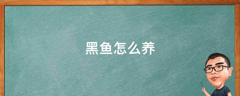 黑鱼怎么养（黑鱼怎么养活的时间长）