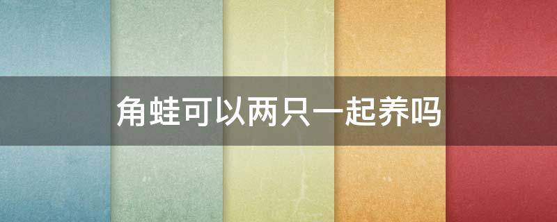 角蛙可以两只一起养吗 树蛙可以和角蛙一起养吗
