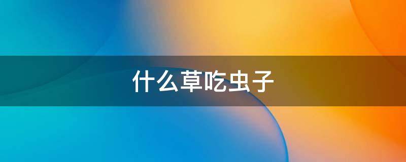 什么草吃虫子（什么草吃虫子最快）