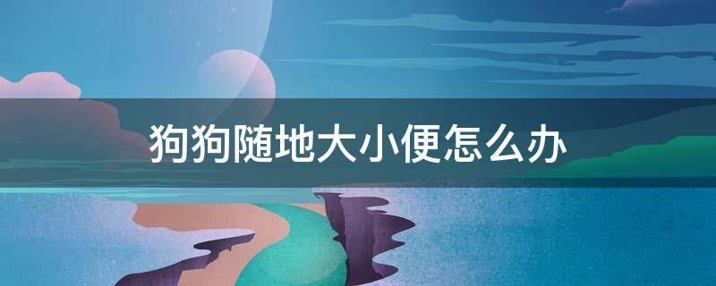 狗狗随地大小便怎么办 狗狗在家里到处大小便怎么办