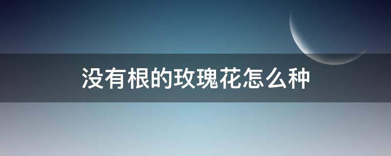 没有根的玫瑰花怎么种 怎么把没有根的玫瑰花花枝养活